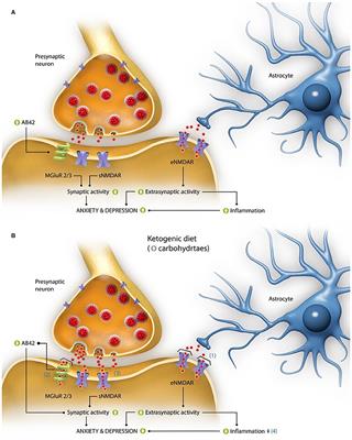 【hm】 Frontiers | Unhealthy Dieting During the COVID-19 Pandemic